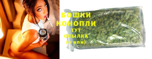 прущий лед Бородино